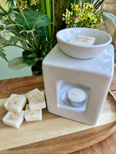 Load image into Gallery viewer, WAX MELT & MIST SUBSCRIPTION BOX