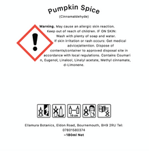 Load image into Gallery viewer, Pumpkin Spice Candle
